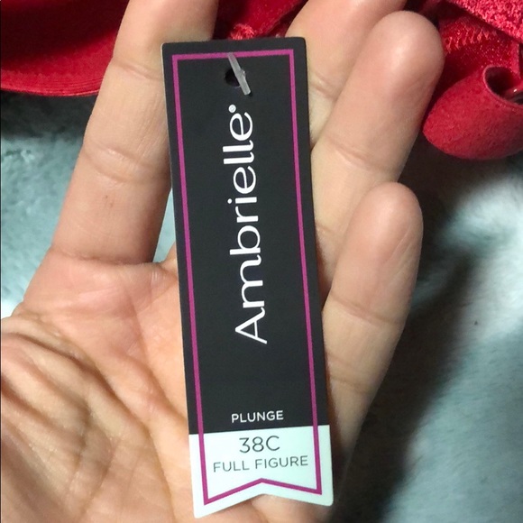 2 for 1, NWT NEVER WORN Full Figure Ambrielle Bras - Picture 2 of 4